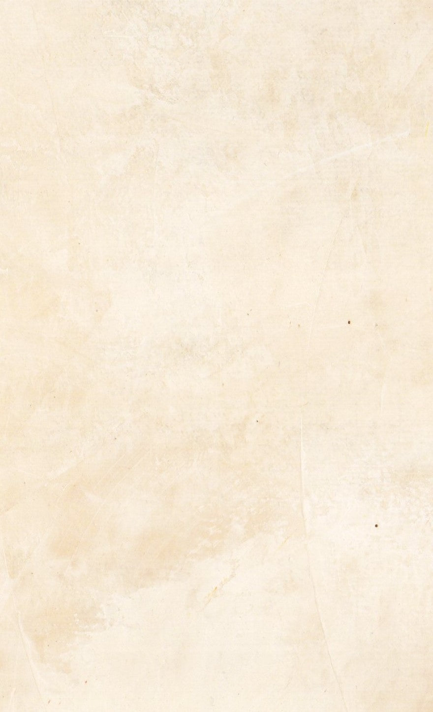 HITECH CEMENT TEXTURE (MI-201)